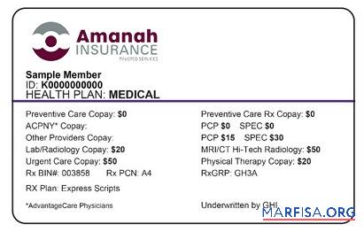 Blank Somalia health insurance card example